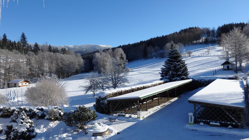 Landhotel Gruenwies -Bonsai-Wellness Garni (Adults Only) Lohberg Luaran gambar